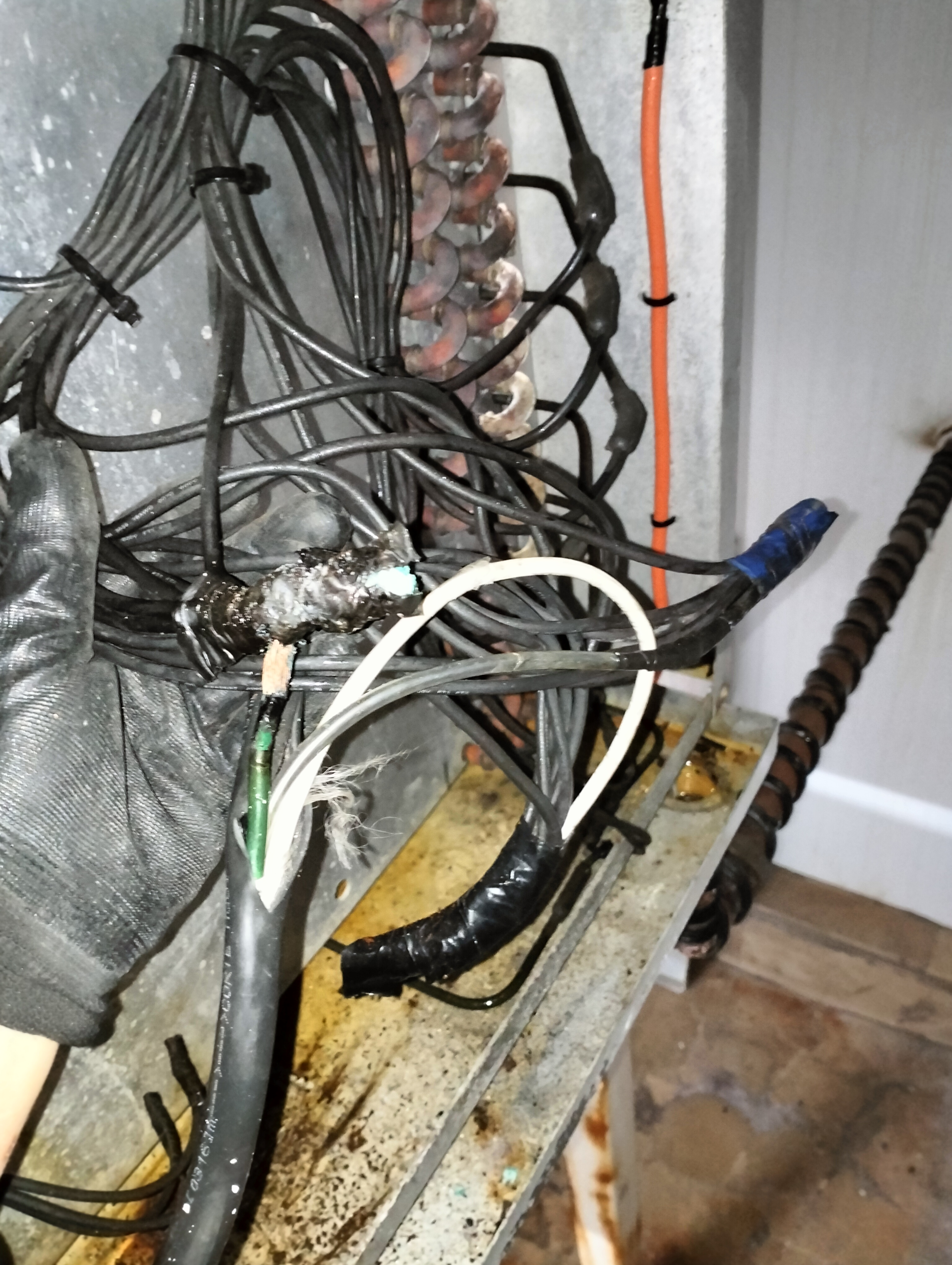 desorden en el sistema electrica